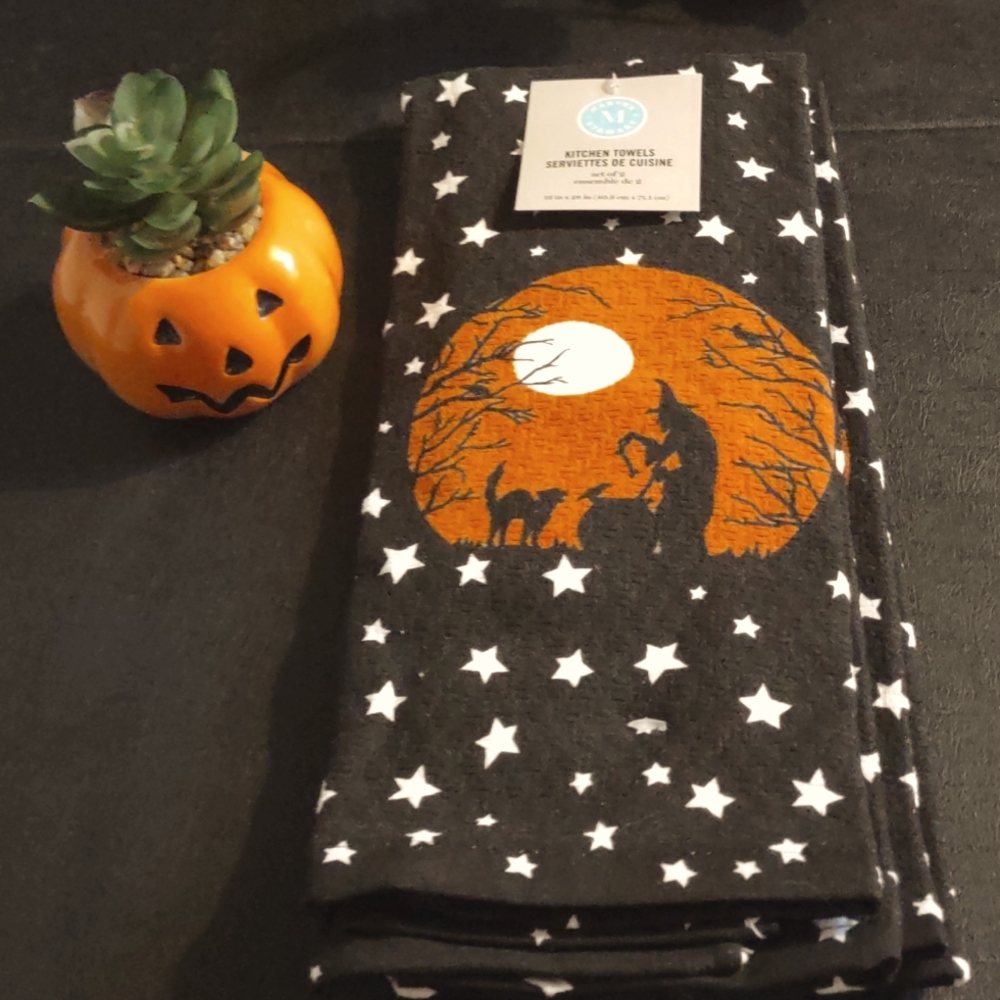 Halloween witch kitchen towels set of 2 🔮🧹